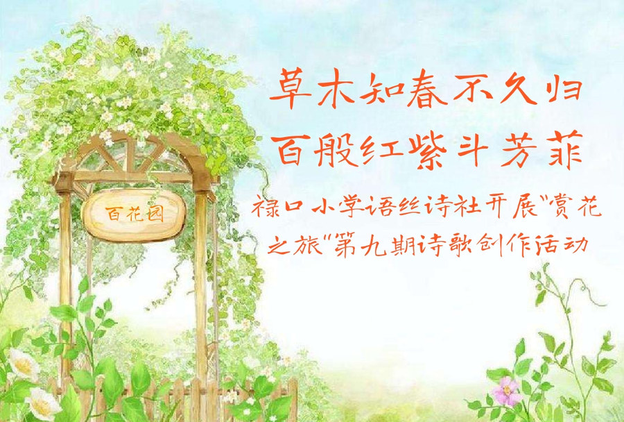 禄口小学_副本.jpg