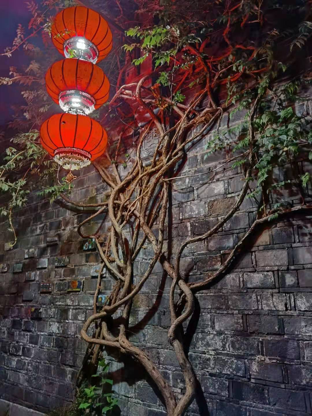 微信图片_20211219120003.jpg