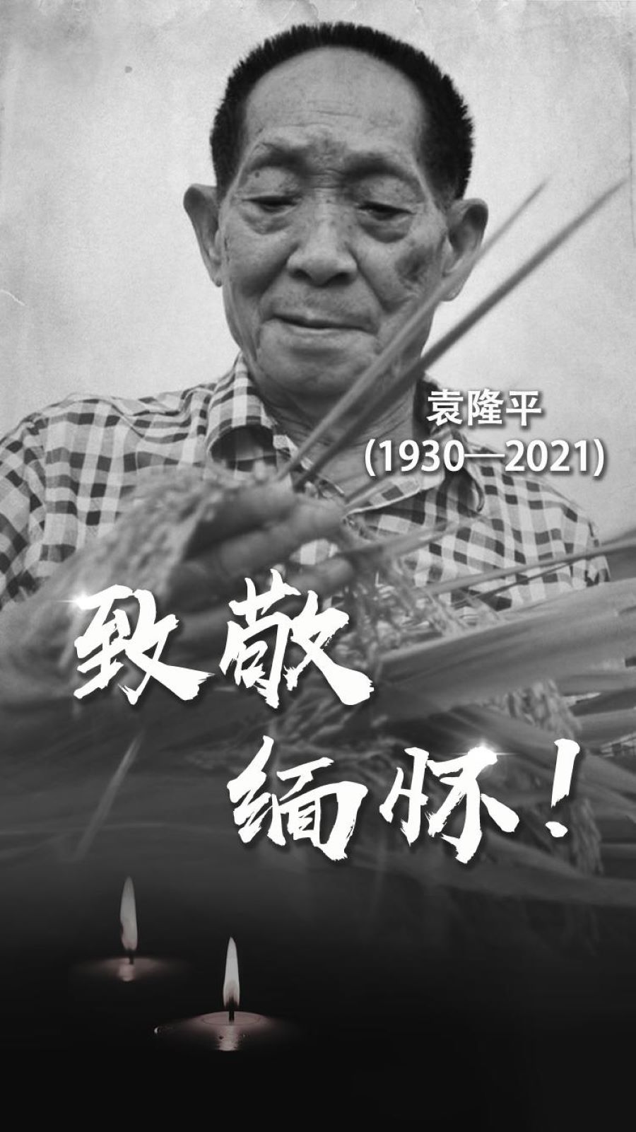 6cb127458cef8c64b8c2b17a9e3285f5.jpeg