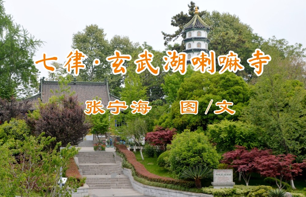 [副本]红金风建校100周年校史学习教育PC端banner.jpg