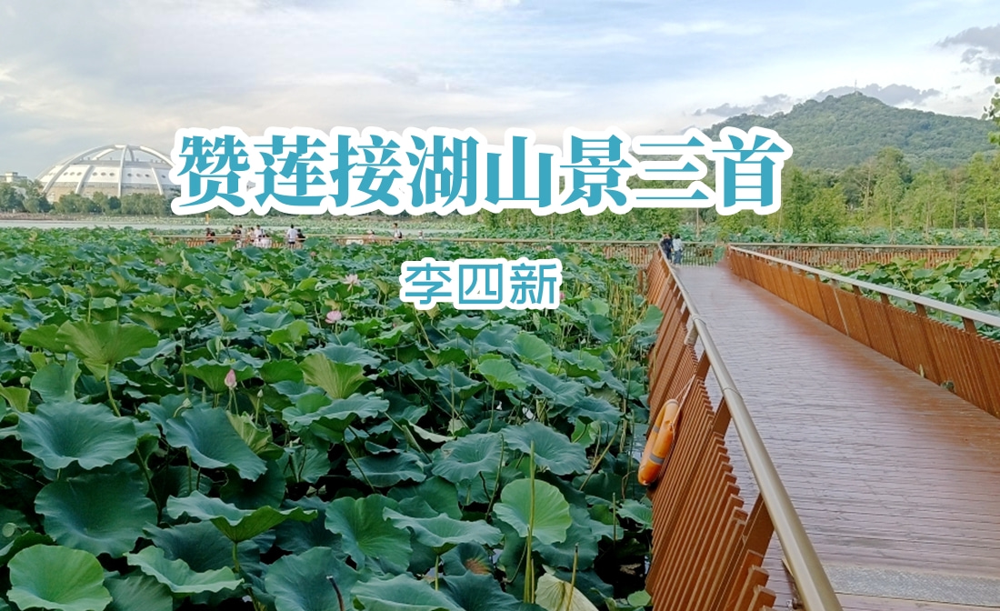未命名 (3).jpg