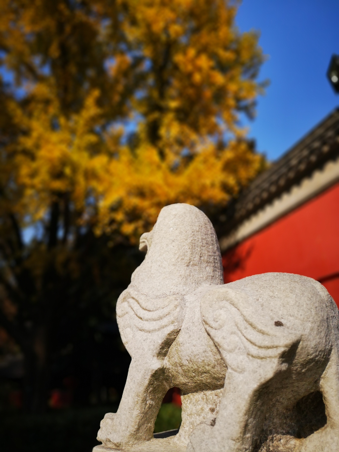 微信图片_20211122103051.jpg