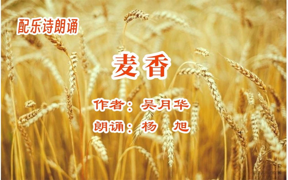 未命名 (1).jpg