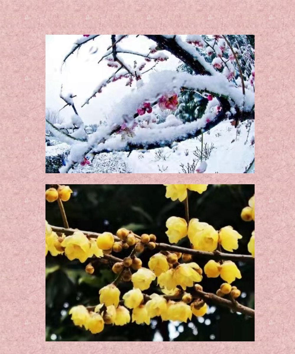 严寒守道_1.jpg