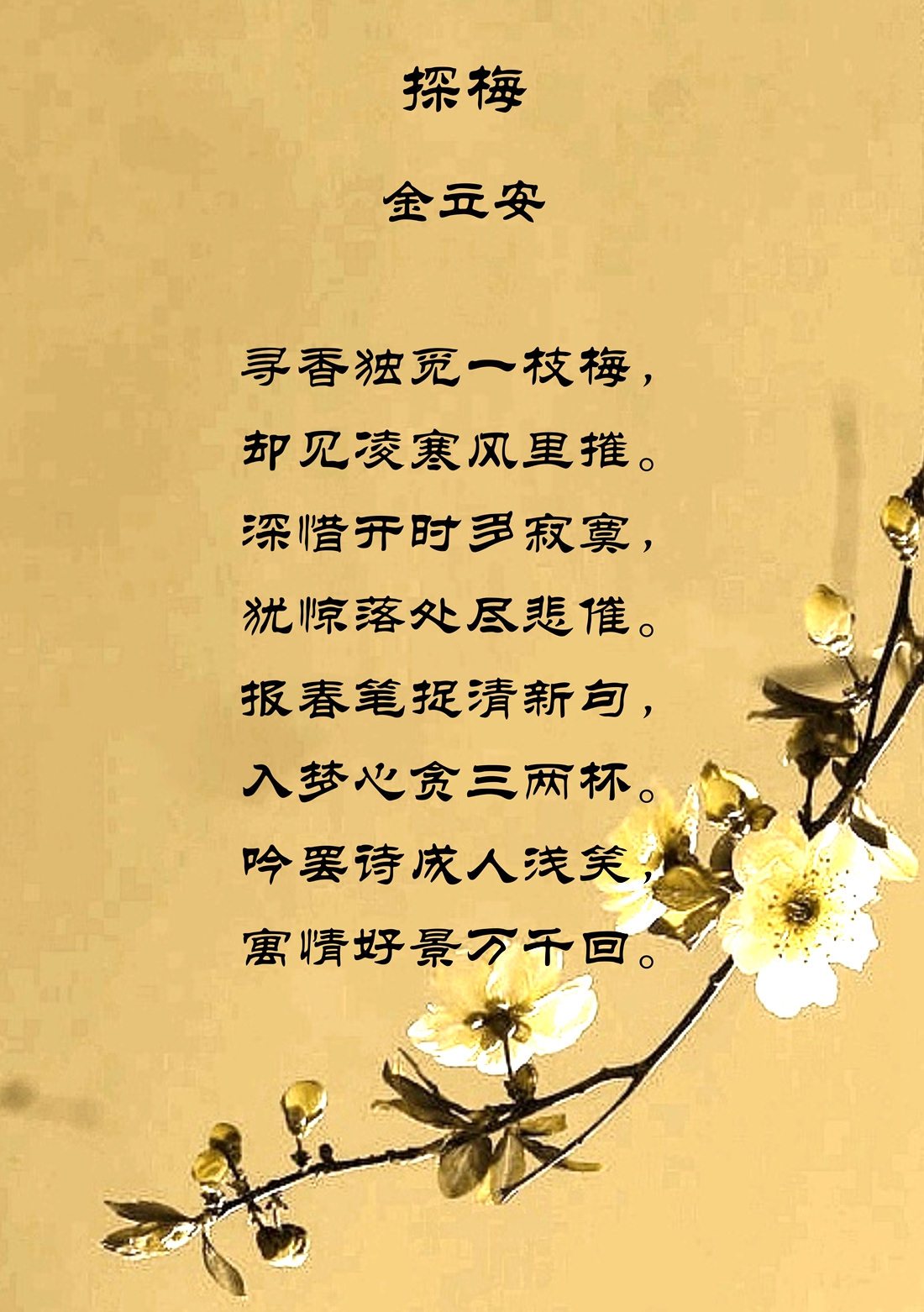 探梅金立安