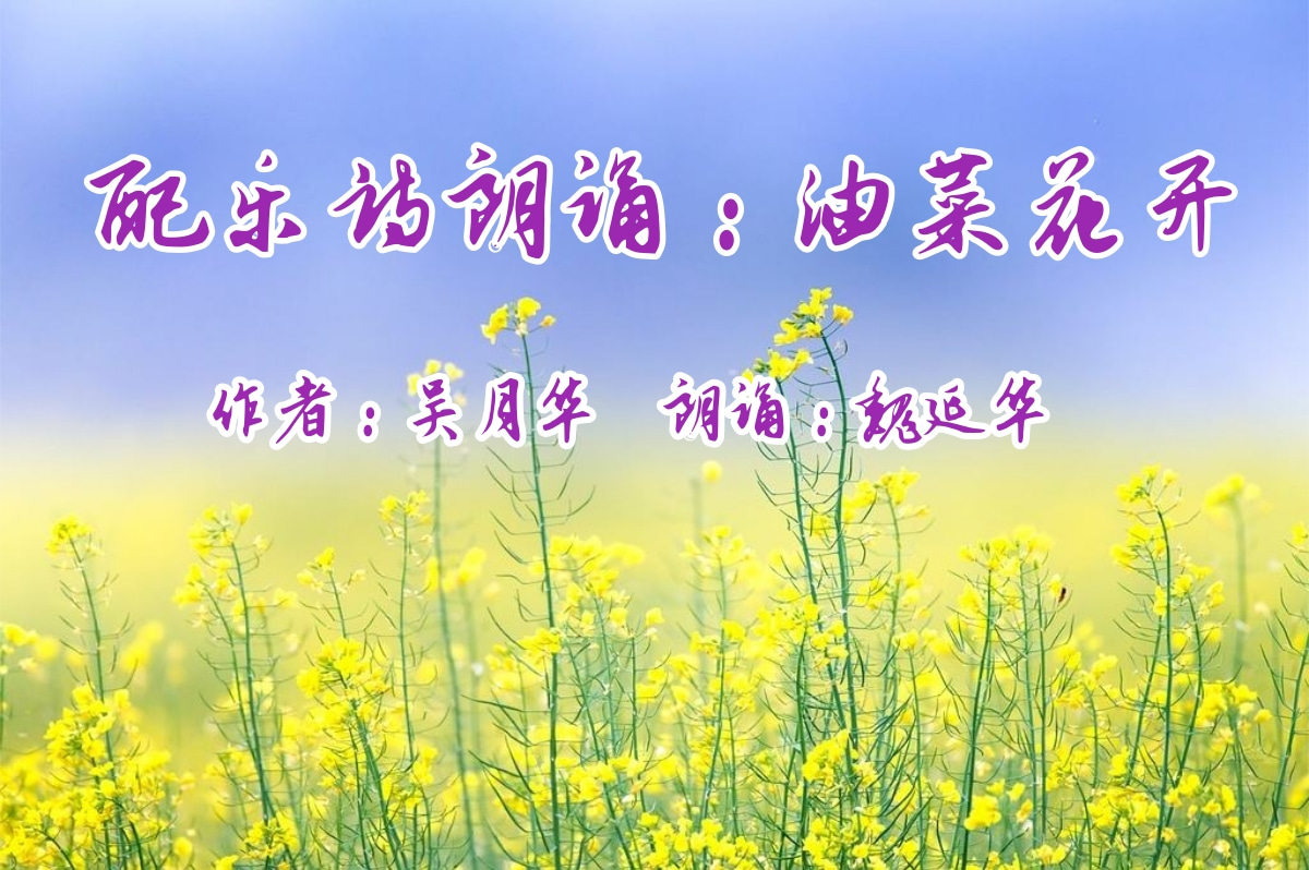 非与.jpg