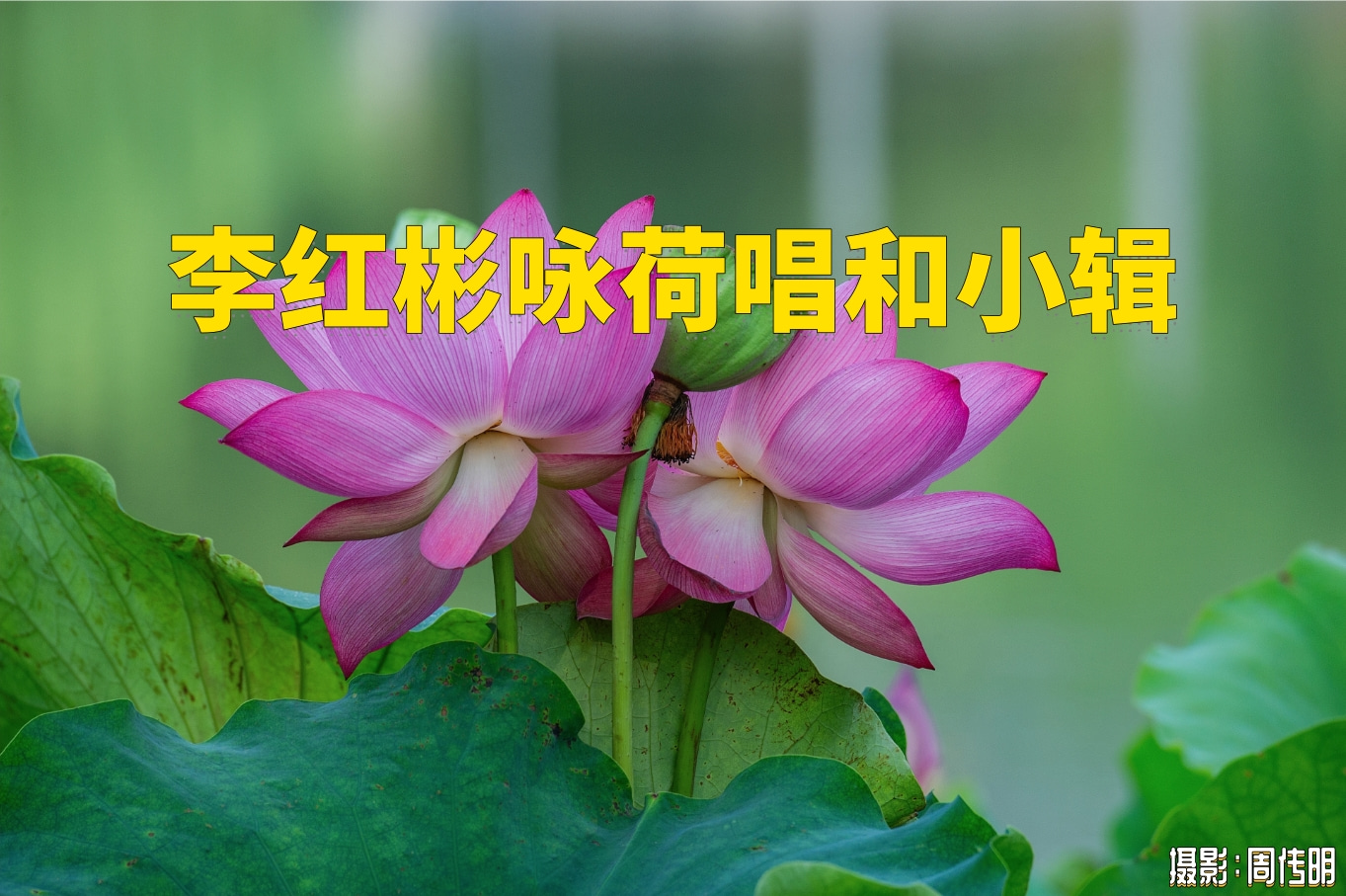 李红彬.jpg