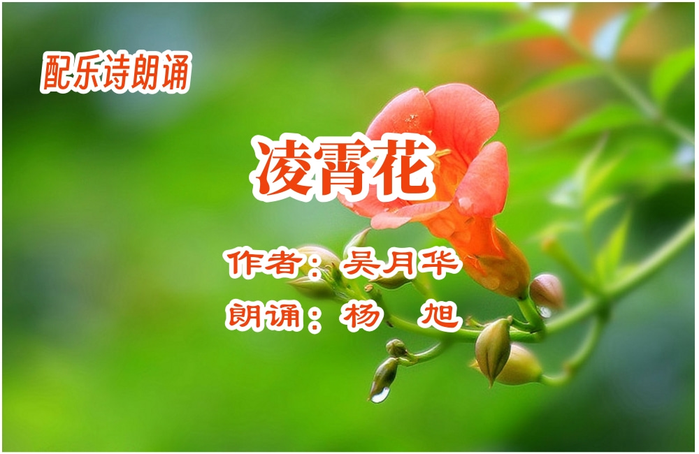 未命名 (1).jpg