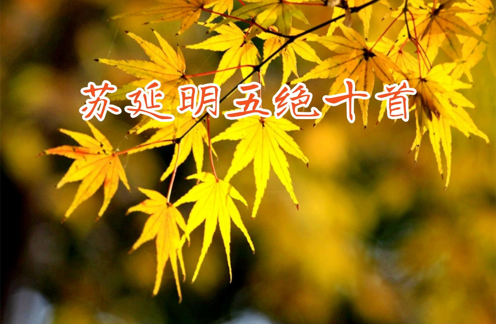 [副本][副本]未命名 (1).jpg