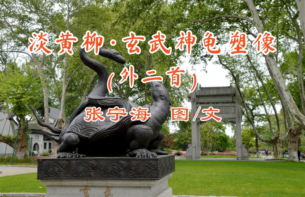 [副本]红金风建校100周年校史学习教育PC端banner.jpg
